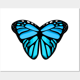 lovely monarch blue butterfly wings Posters and Art